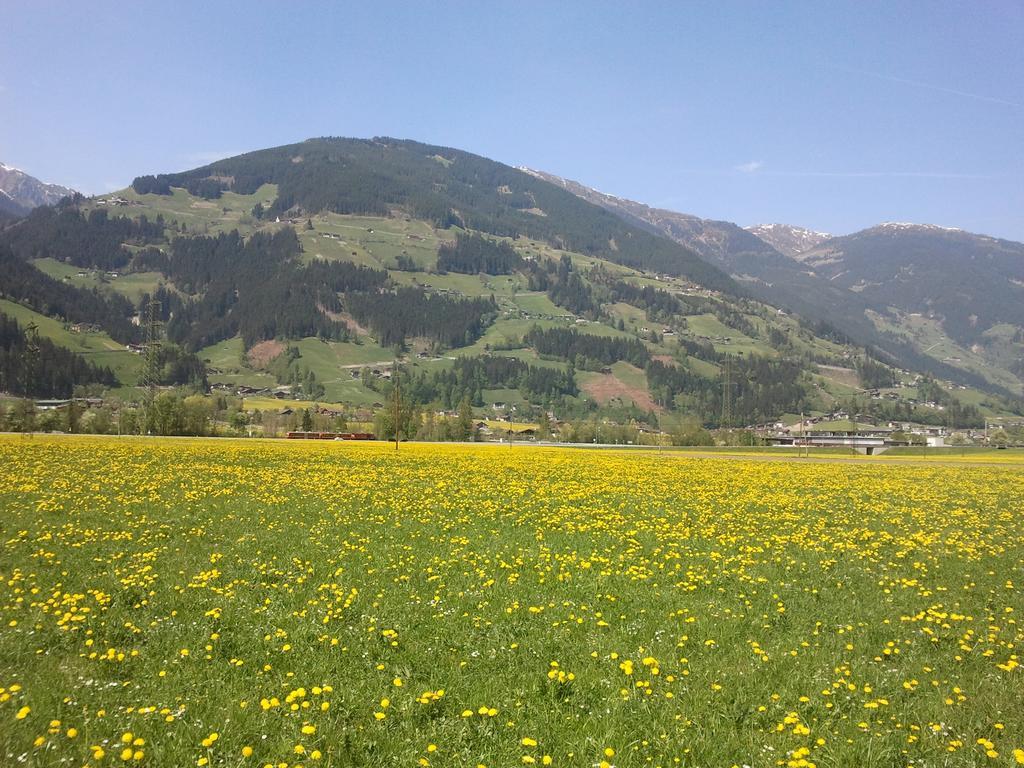 Larchergut Mayrhofen Esterno foto