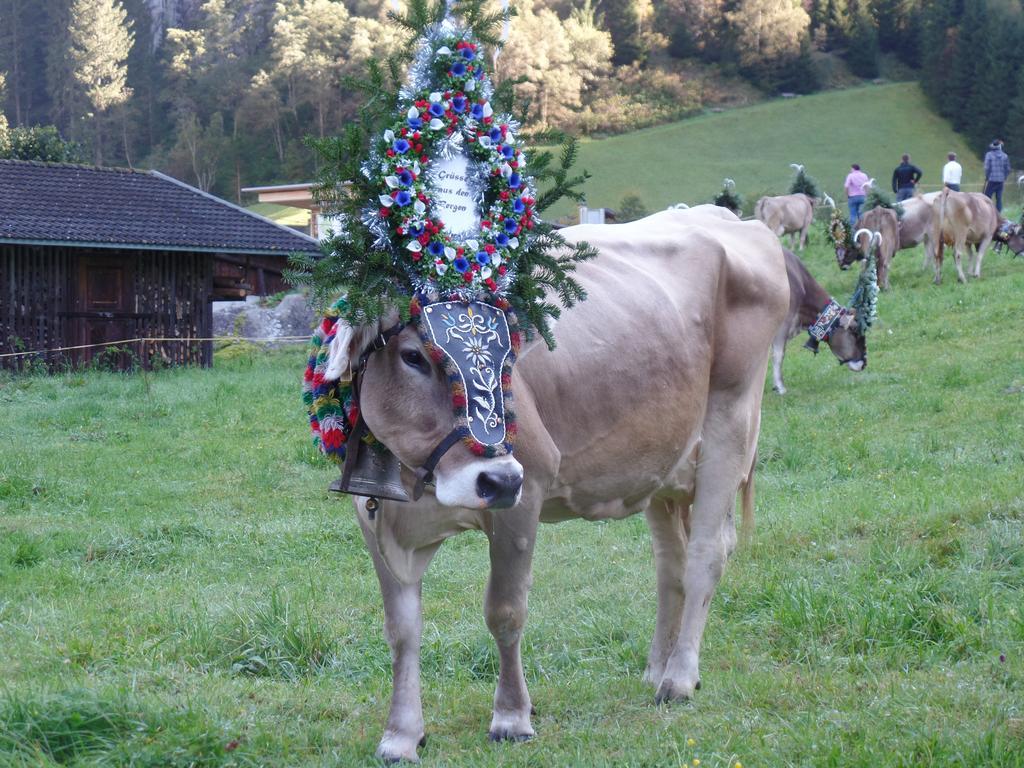 Larchergut Mayrhofen Esterno foto
